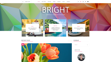 Cleaning Services WordPress Theme Responsive