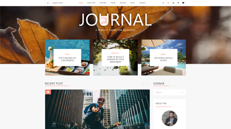 Journal WordPress Theme