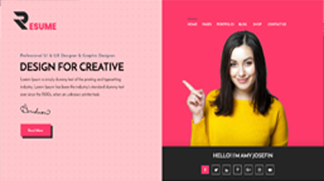 Resume WordPress Theme