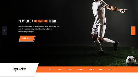 WordPress Sports Theme